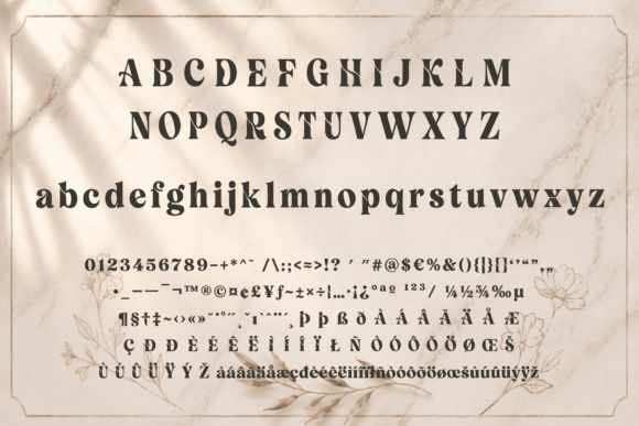 Velour Delamio: Command Attention with Every Letter